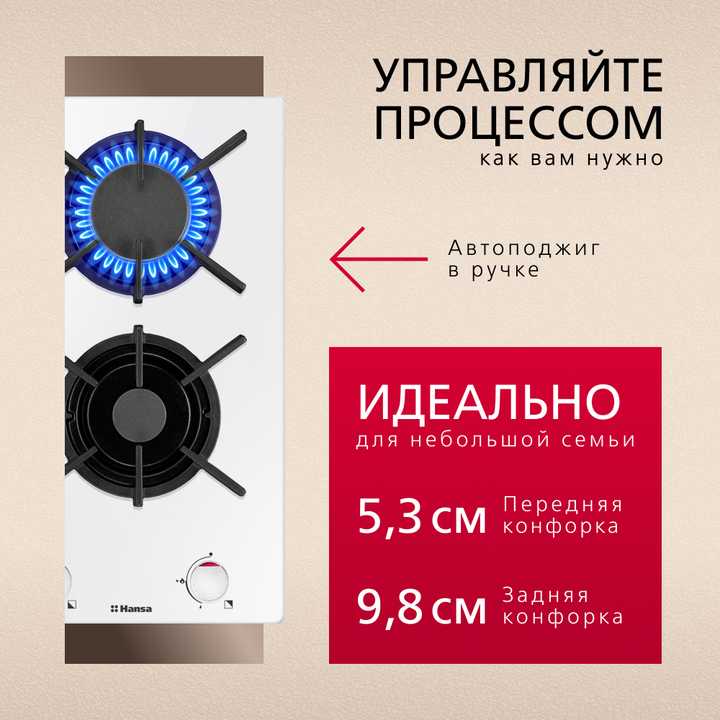 Газовая панель Hansa BHKW310300