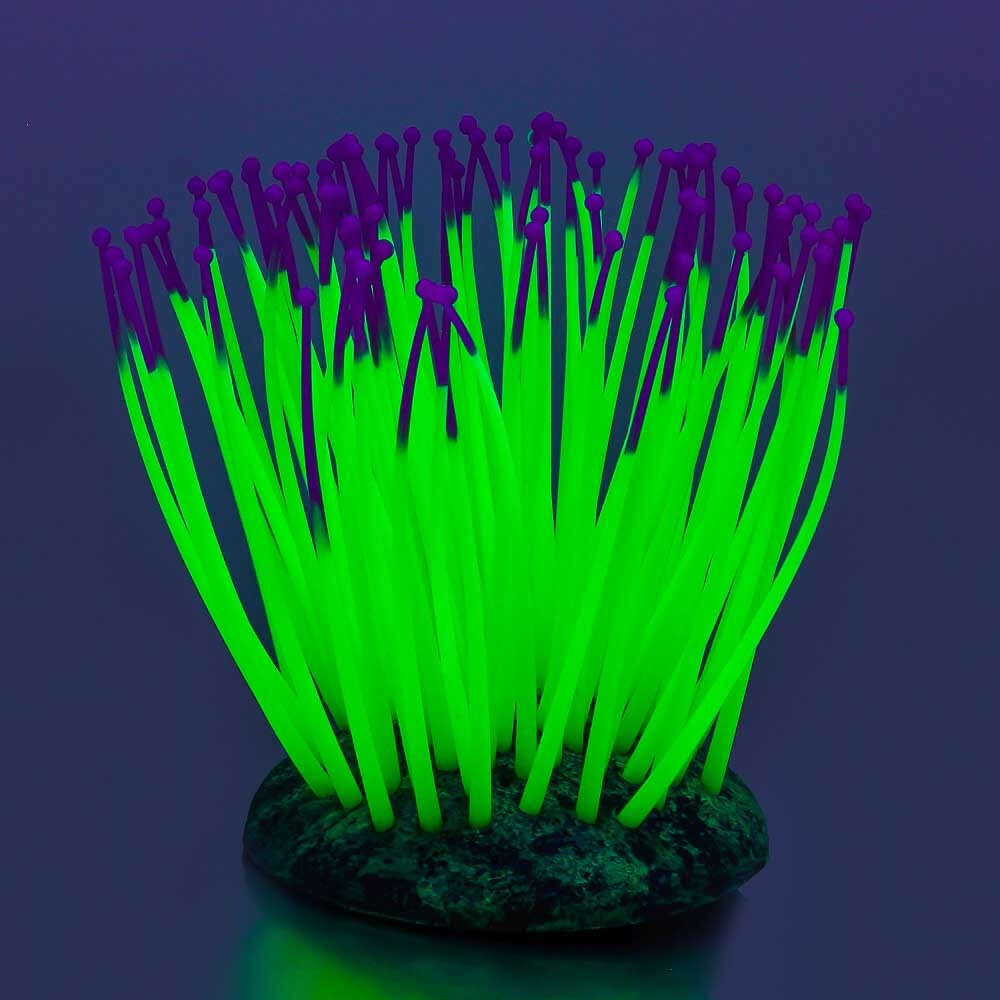 Gloxy декорация флуорисцентная "Морской анемон" зеленый 9,5х8,5х9см
