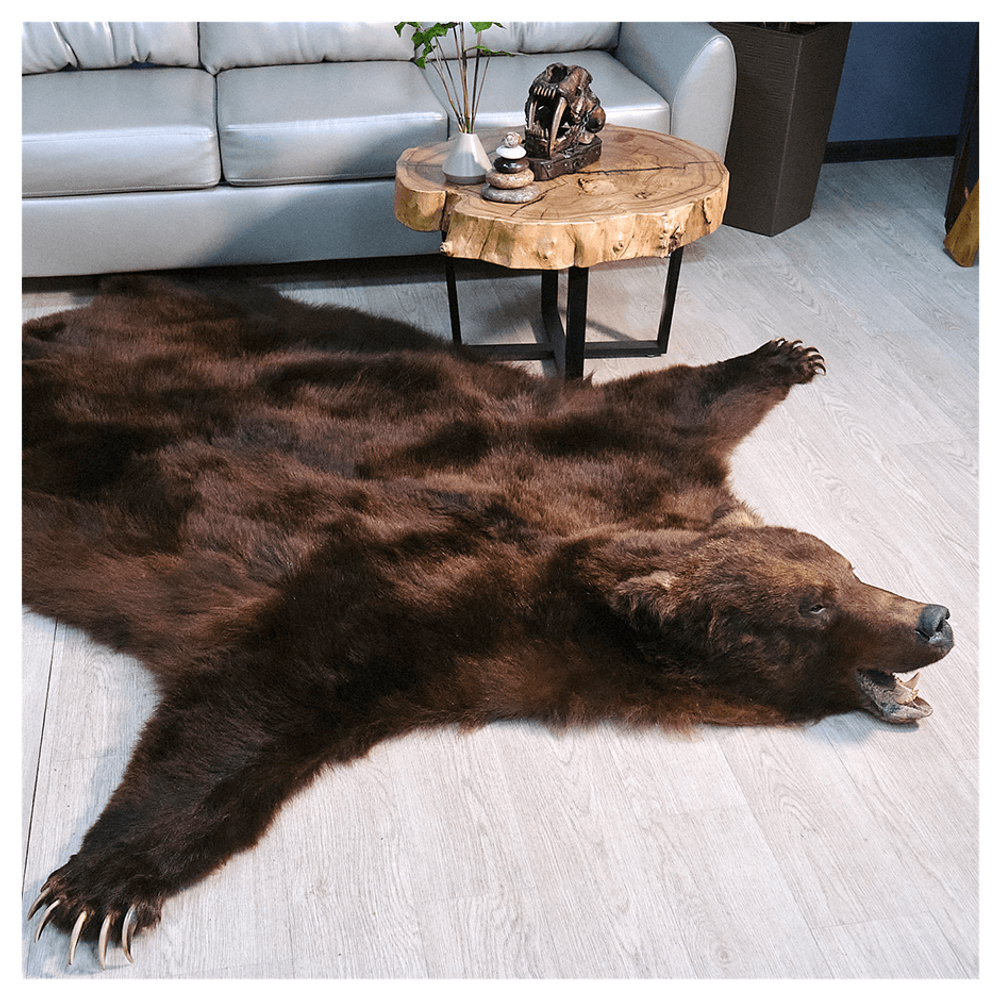 Шкура медведя «Бурый зверь»