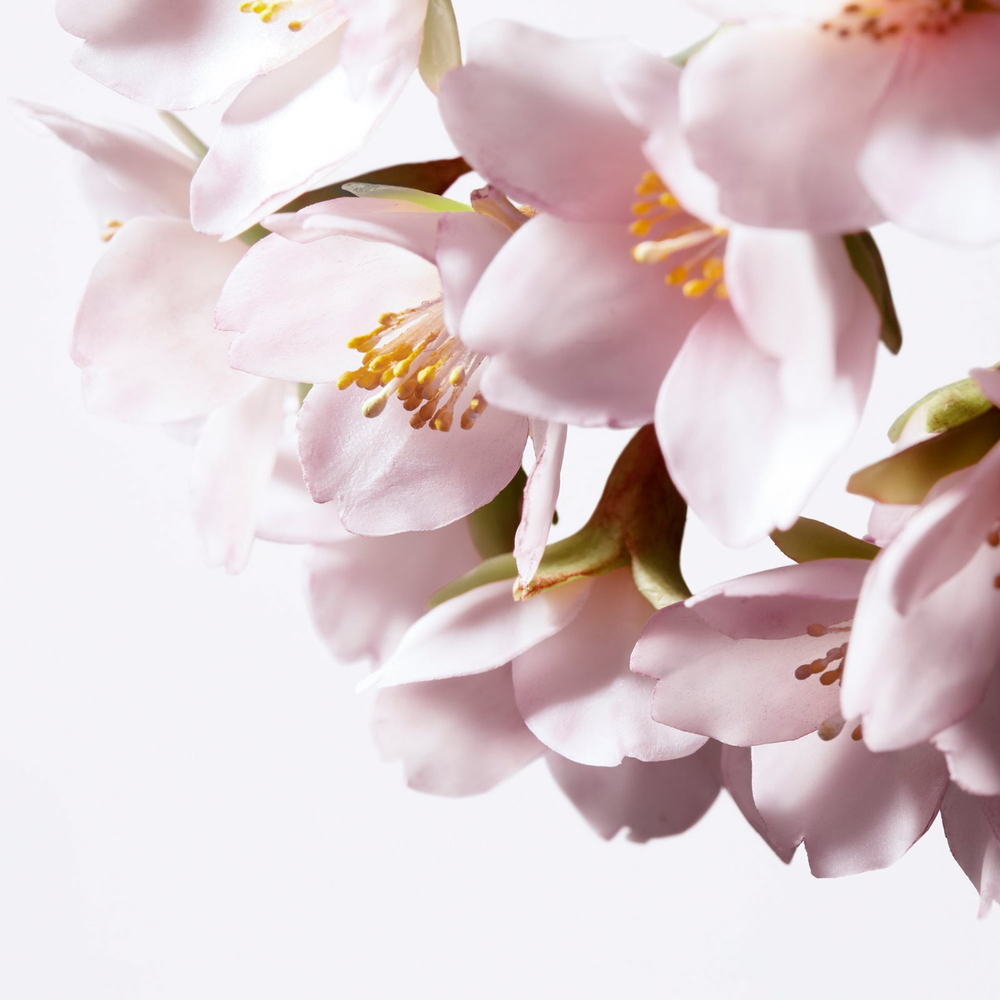 Shiseido White Lucent Illuminating Micro-Spot Serum - осветляющая корректирующая сыворотка против обесцвечивания /   30  ml  / GTIN 768614160434