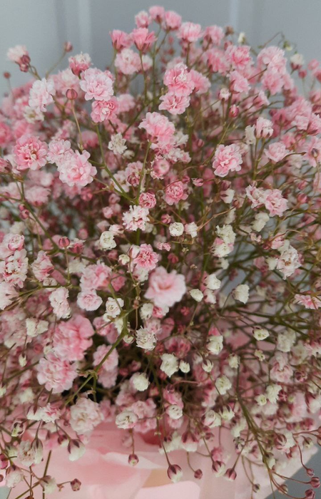 Композиция из розовой гипсофилы
