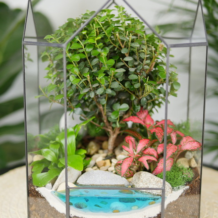 Готовый флорариум бонсай Мирсина Бонсариум с озером
