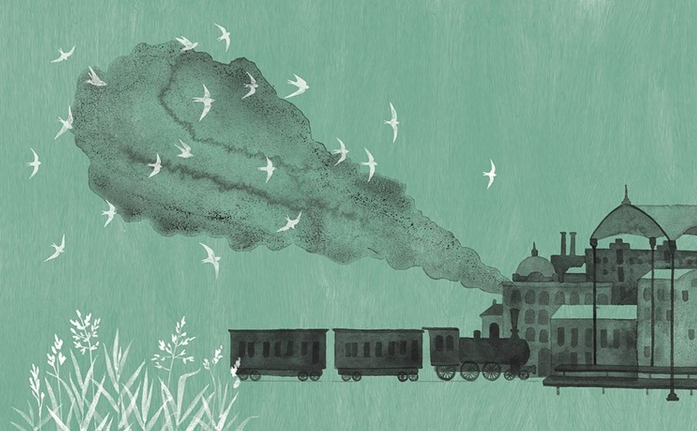 Лето в Михалувке и в Вильгельмувке