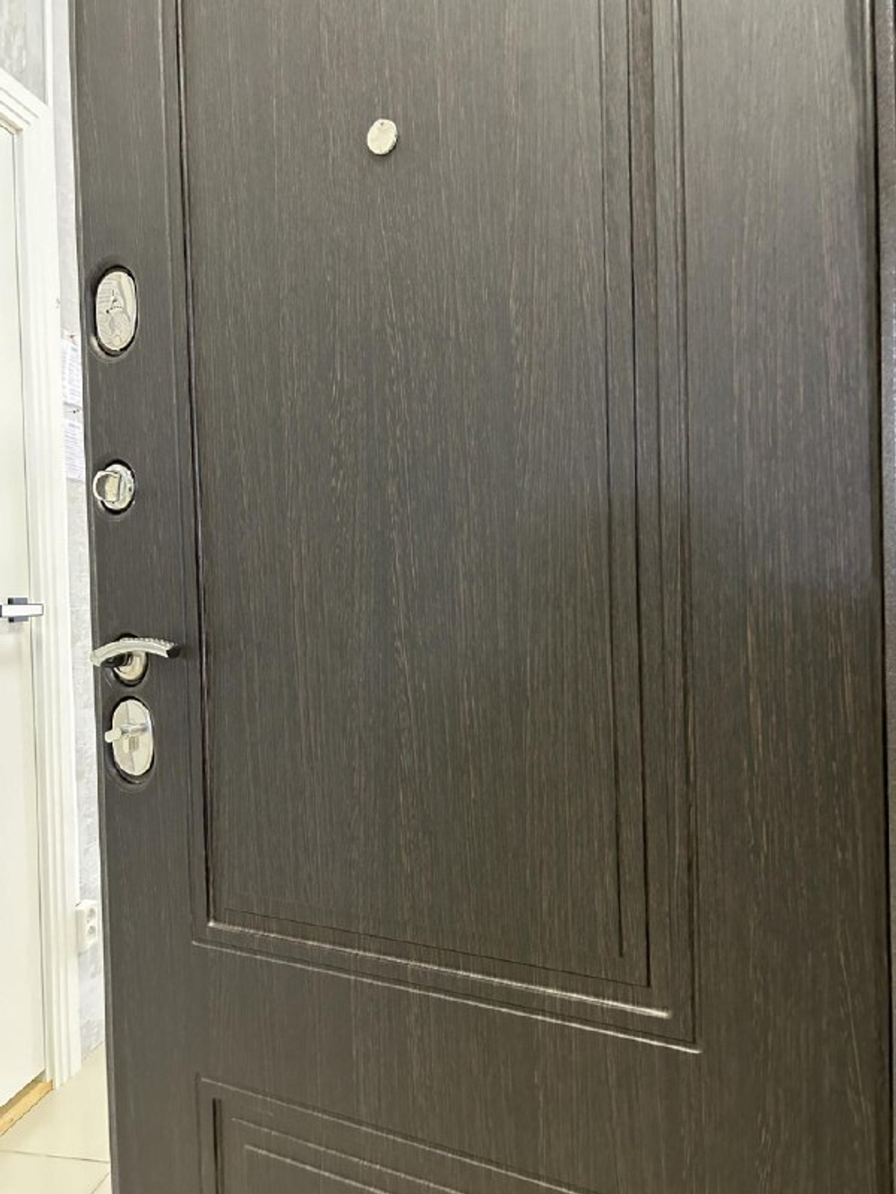 Дверь входная Арктика