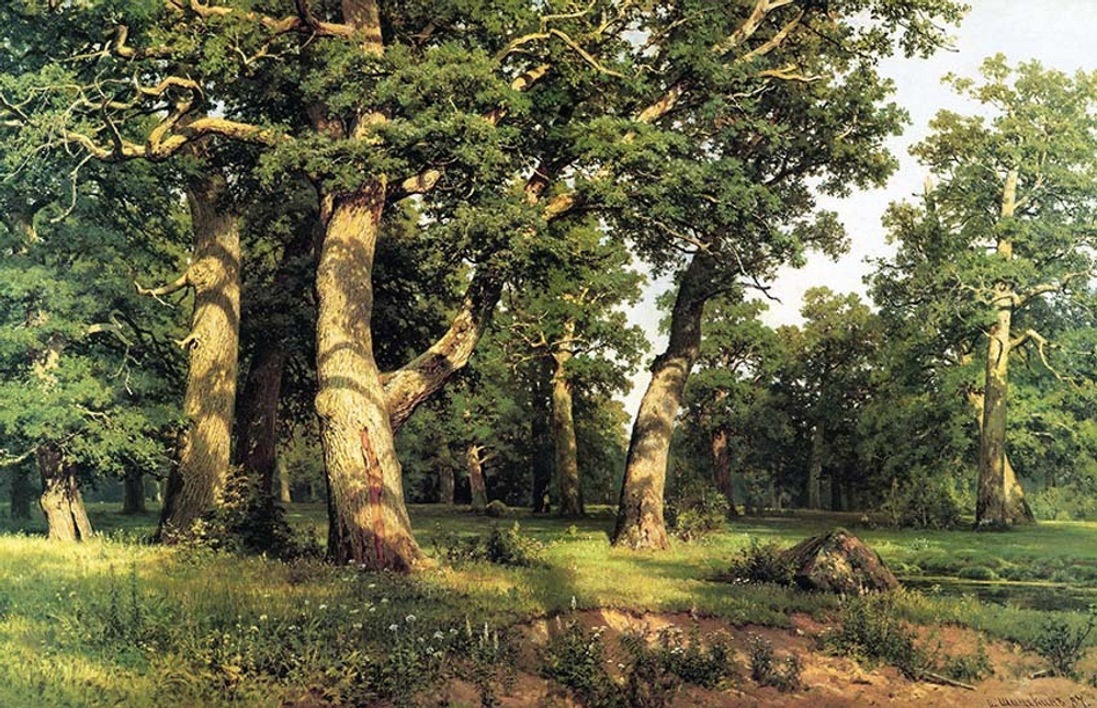 Картина для интерьера "Дубовая роща", Шишкин Иван Иванович Настене.рф
