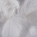 10067F/SG White Торшер LOFT IT Bijout