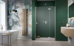 Душевая дверь Radaway Essenza Brushed Nickel DWJ 110 стекло прозрачное/профиль брашированный никель