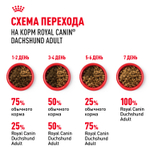 Сухой корм Royal Canin Dachshund Adult для взрослых собак породы Такса от 10 месяцев 7,5кг