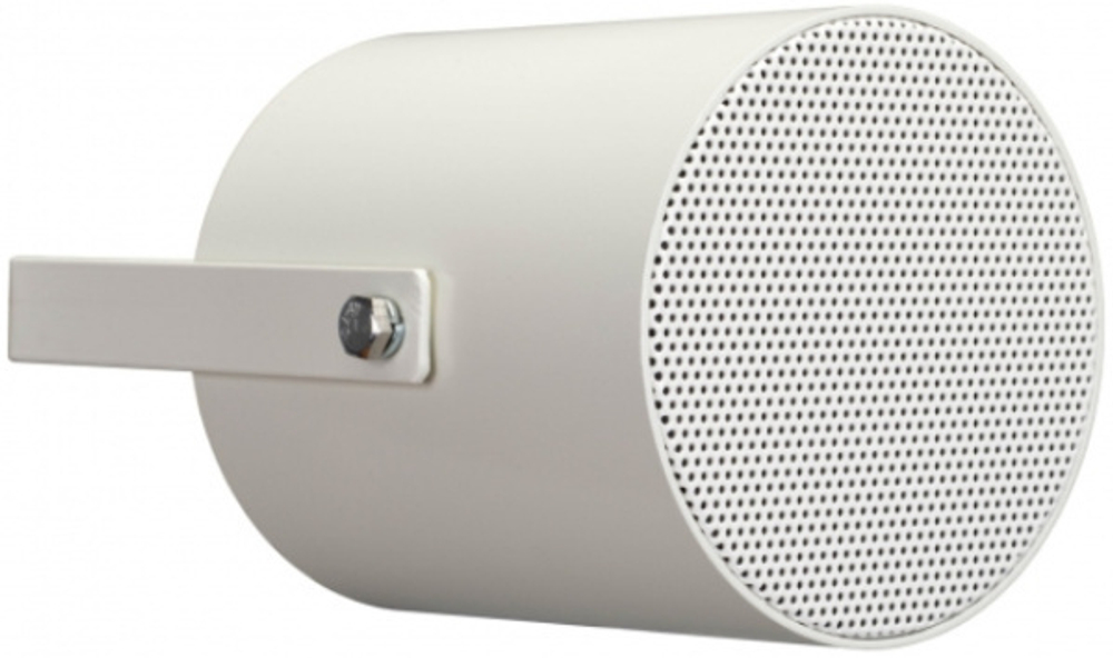 Акустическая система BIAMP EN-MP5T20-W