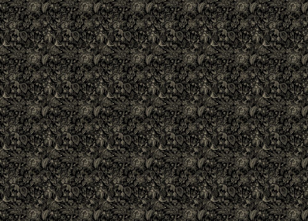 Gloockler Pompoos Provence