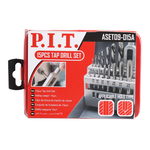 Набор для нарезания резьбы P.I.T. 15 предметов (ASET09-015A)