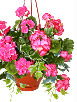 Искусственные цветы Герань густая малиновая 65см в подвесном кашпо
