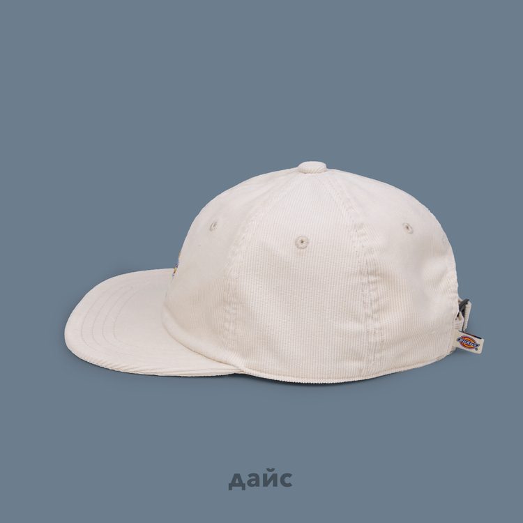 Кепка Dickies Chase City Cap артикул:DK0A4YPJF901 - купить в магазине Дайс