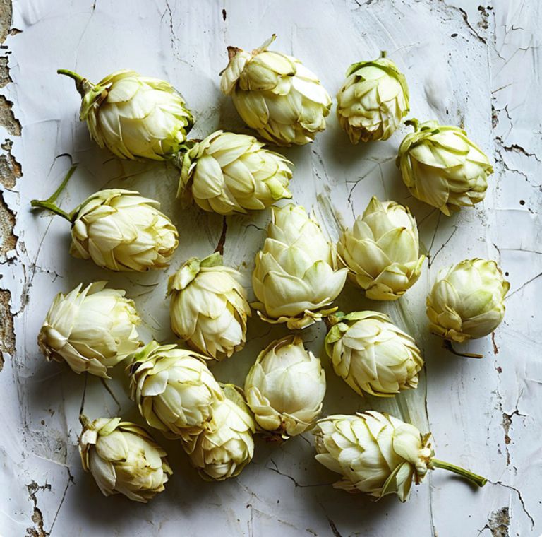 Пять  уникальных хмелей в домашнем пиве.