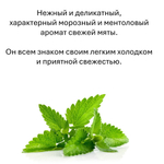 Мята , кубики восковые для ароматизации, 10 штук