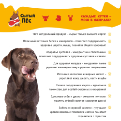 Лакомства для собак Сытый пёс / Аорта говяжья / 100 грамм