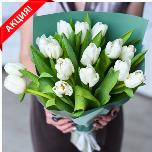 Купить Букет 15 белых тюльпанов