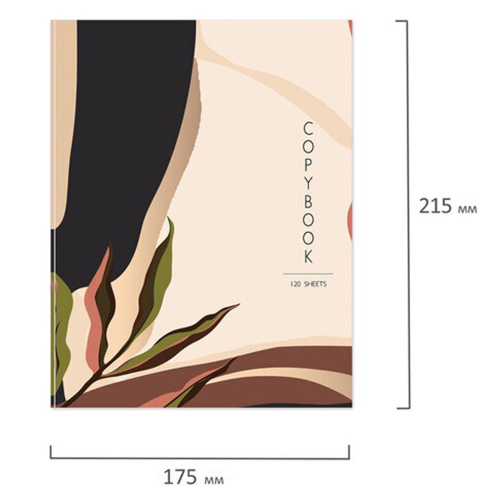 Тетрадь на кольцах А5 175х215 мм, 120 л., твердый картон, клетка, BRAUBERG, "Vision", 404075