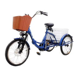 Электровелосипед GreenCamel Трайк-20 (R20 500W 48V15Ah) Складной