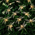 Гирлянда для улицы «Стрекоза» 3 м 20 ламп LED чёрный провод, 2 реж.,IP-55, Теплый белый (солнечная батарея)