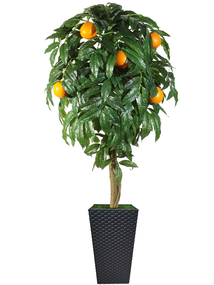 Искусственное дерево Апельсин 150см в высоком коричневом кашпо ротанг