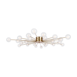 Потолочная люстра Freya Celebrity FR5242CL-24BS1