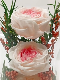 натуральные кустовые пионы в стекле, вакуум*