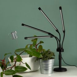 Настольный светильник для растений ЭРА FITO-40W-АLED-Ra полного спектра 40 Вт черный | Светильники для растений