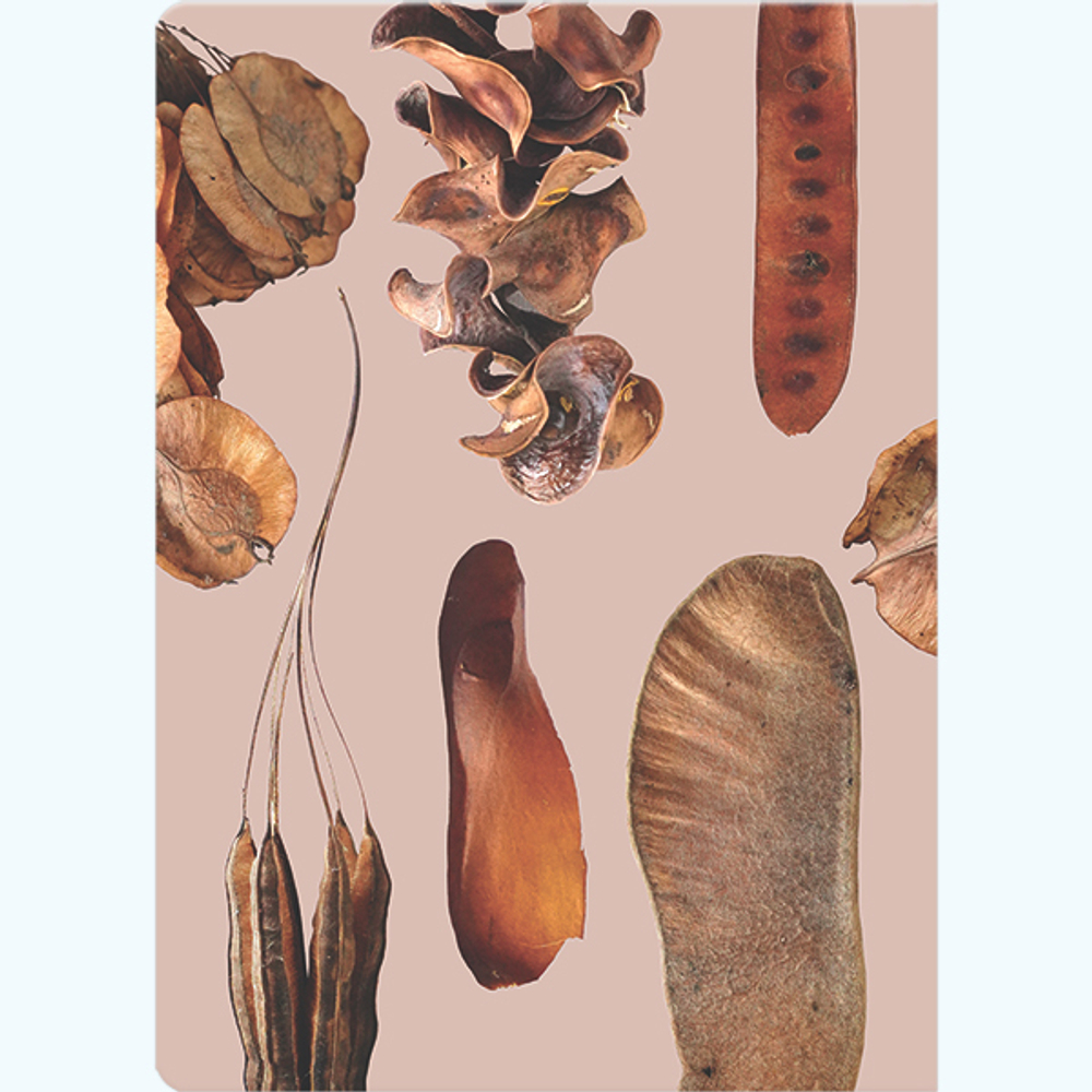 Блокнот "Parts of plants" А5 96 листов книжный переплет, сшивка