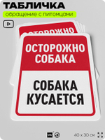 Табличка "Осторожно собака, собака кусается" на дверь и забор, для двора, дома, подъезда, 40х30 см, Silver Plane x Айдентика Технолоджи