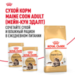 Royal Canin Maine Coon Adult Корм консервированный для взрослых кошек породы Мэйн Кун соус 85г