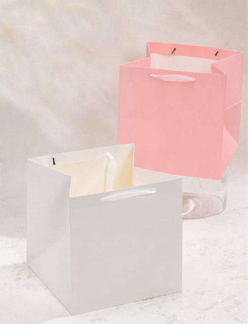 Сумка премиум 25*25*25