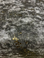 Обои флизелиновые Hampton