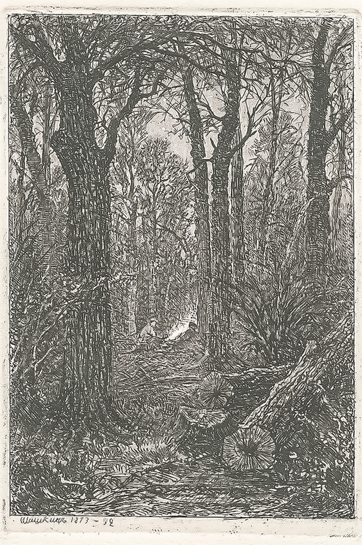Шишкин Иван Иванович. На порубке. Бумага, офорт. 1873 г.