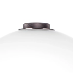 Декоративная настольная лампа Lightstar COLORE 805916