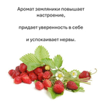 Земляника, кубики восковые для ароматизации, 10 штук