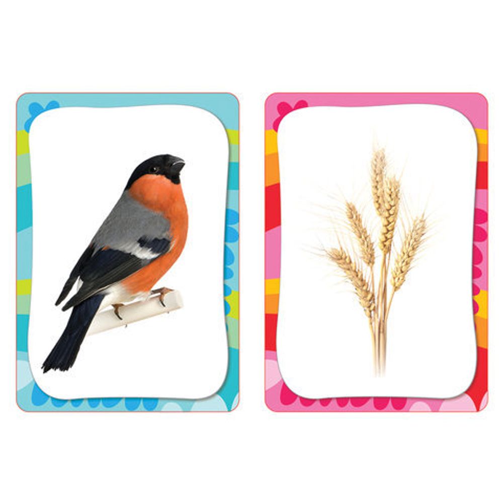 Карточки развивающие "Развиваем внимание и память", 36 карточек, 3+, Котятова Н.И., Росмэн, 23677