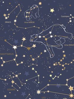 Наволочка комплект 2шт поплин Сказка "Созвездия" 40х40 см на молнии