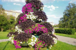Цветочница Елочка большая