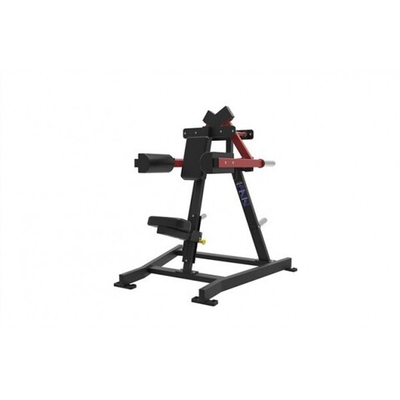 Дельтовидные мышцы UG-XM 619