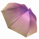 Зонт Fabretti UFD0033-10
