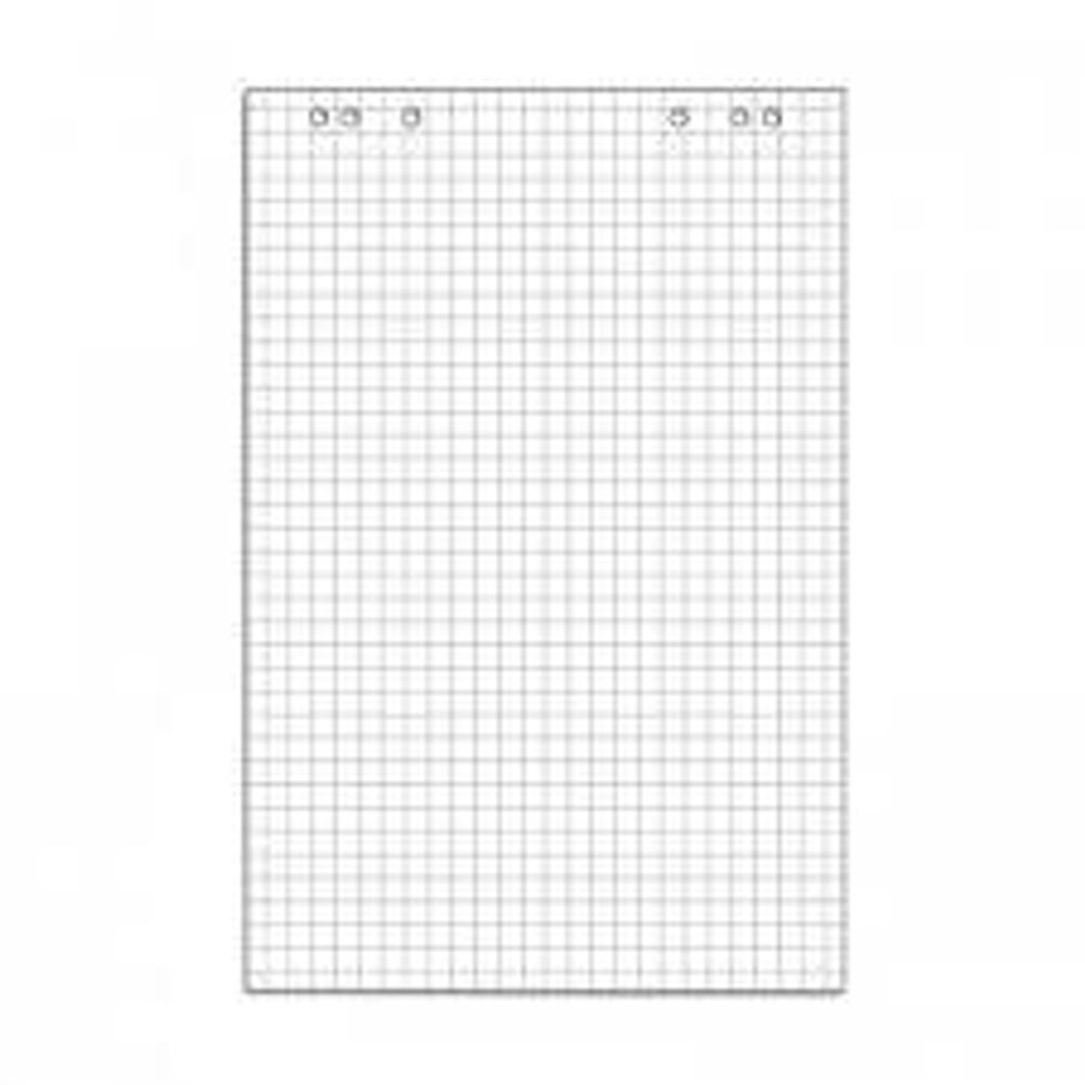 Блок д/флипчарта inФОРМАТ 67,5 х96,5см, клетка 20лист
