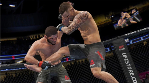 UFC 5