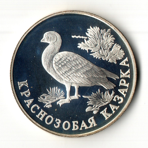 1 рубль 1994 год Красная Книга Краснозобая казарка. Proof