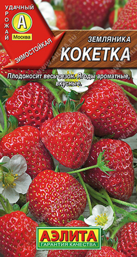 Земляника Кокетка ремонтантная крупноплодная 10шт Аэлита