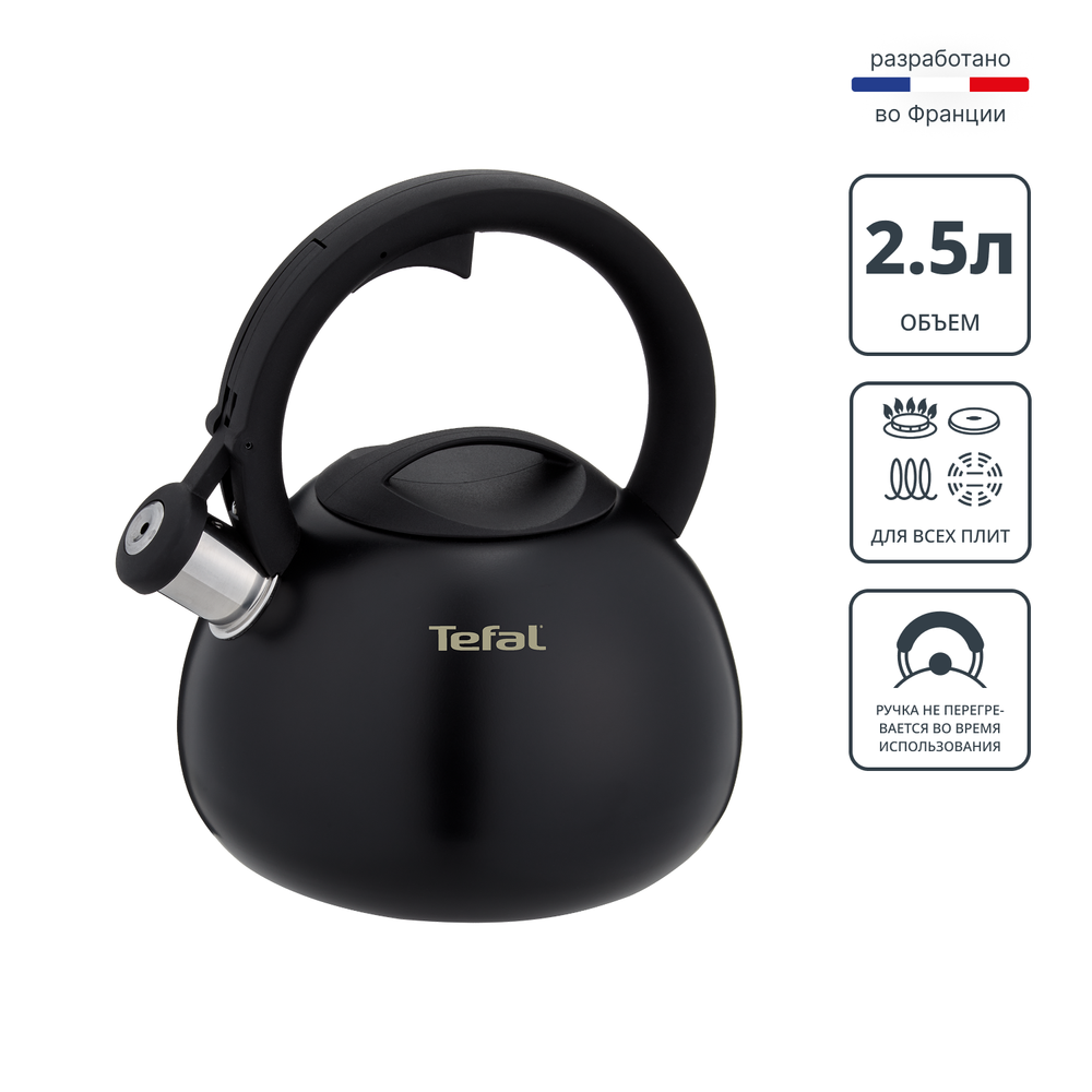 Чайник для плиты Tefal Intuition 2.5 л N4180417