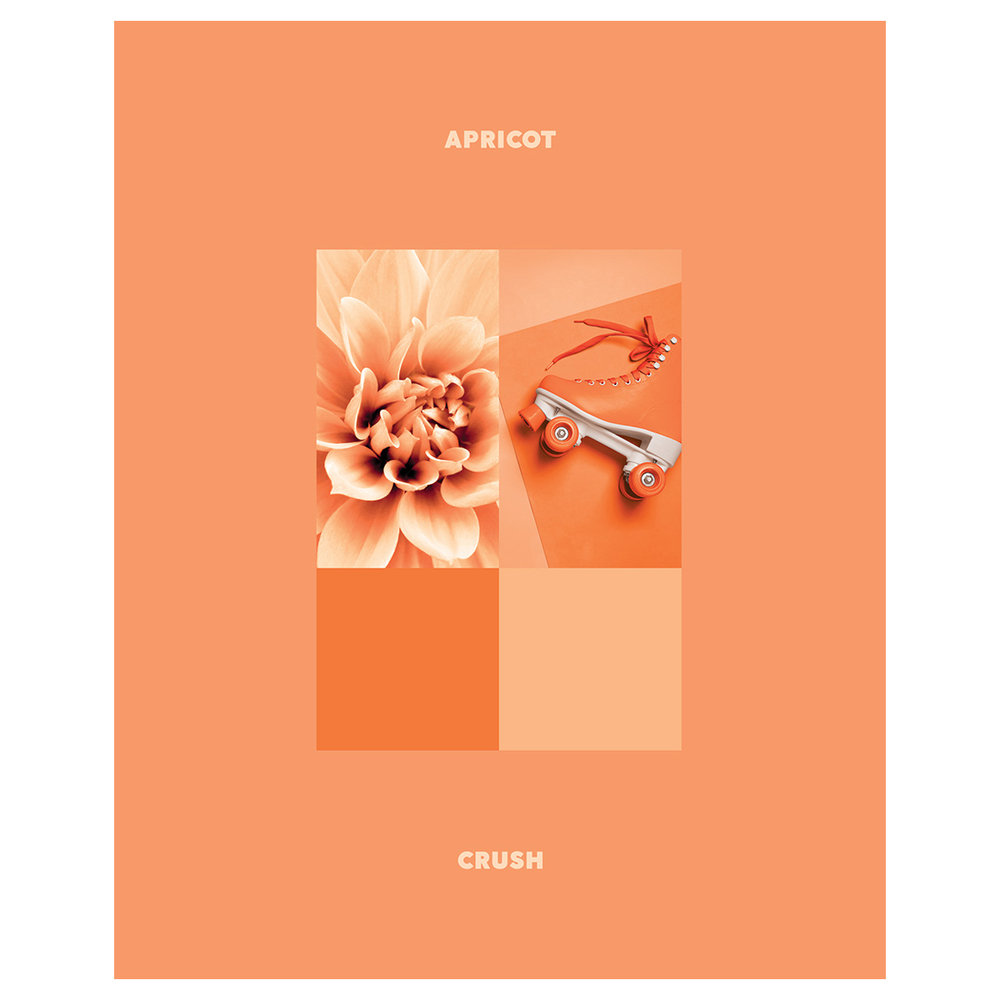 Тетрадь 48л., А5, клетка BG "Apricot", матовая ламинация