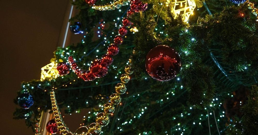 Светодинамическая елка ствольная - встроенная гирлянда: Теплый свет - "Таежная" от 11 до 21 м