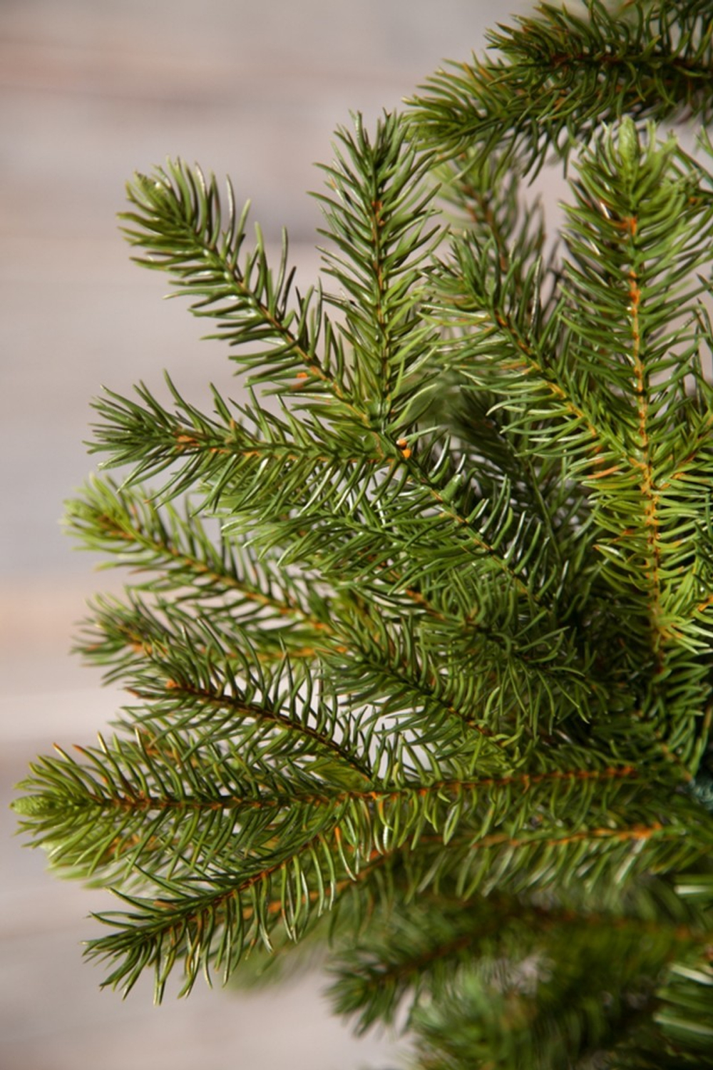 Можжевельник 185см зеленая Triumph Tree