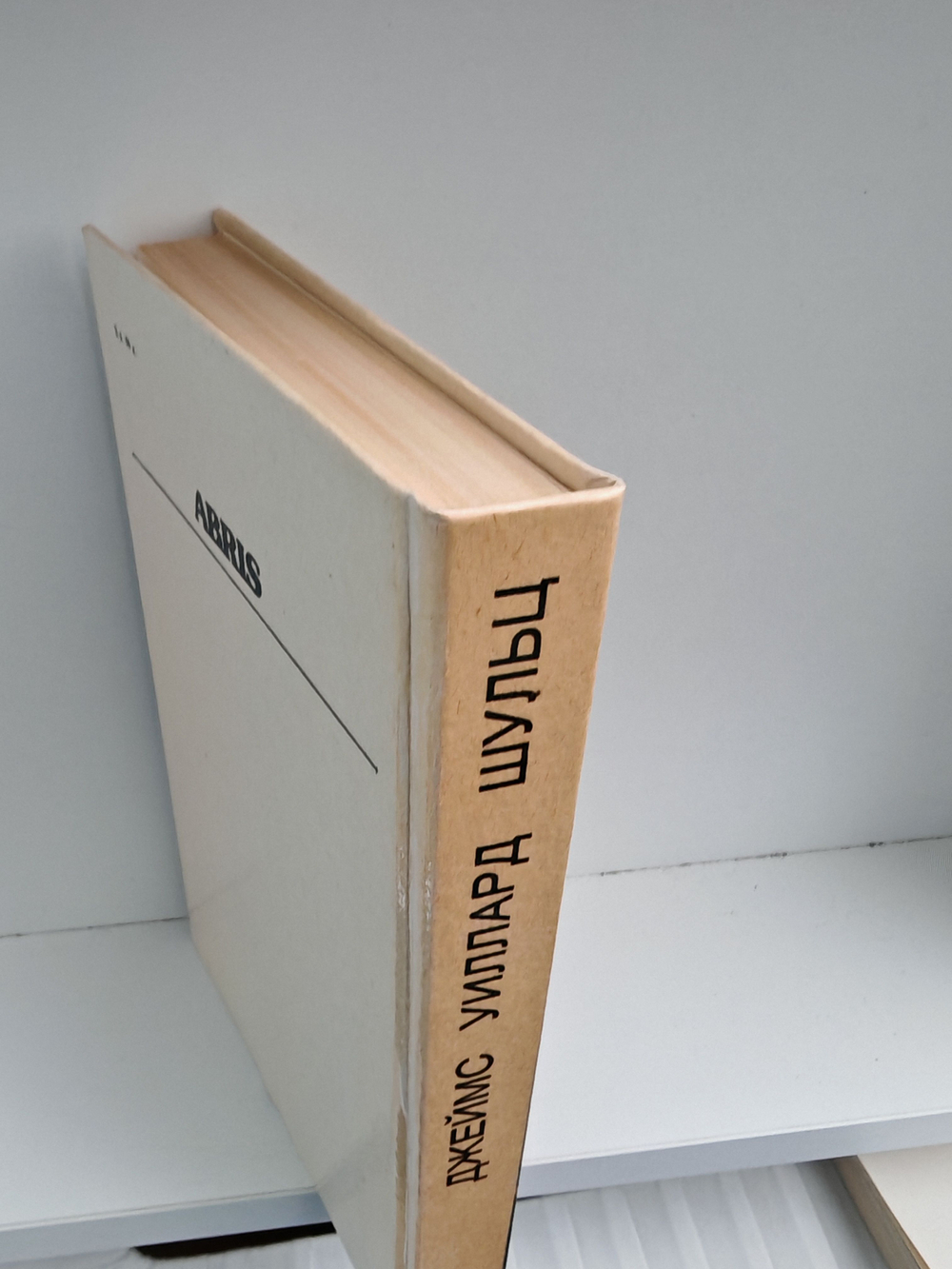 Сын племени навахов